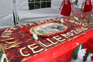 Festa delle Ciliegie