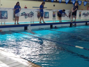 Scuola di nuoto Larus