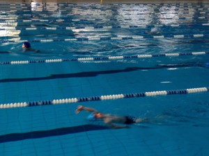 Scuola di nuoto Larus 