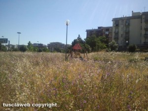 L'erba alta nel piccolo parco giochi di fronte all'Ipercoop
