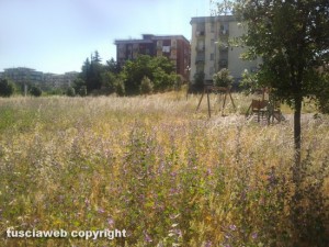 L'erba alta nel piccolo parco giochi di fronte all'Ipercoop