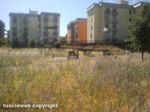 L'erba alta nel piccolo parco giochi di fronte all'Ipercoop