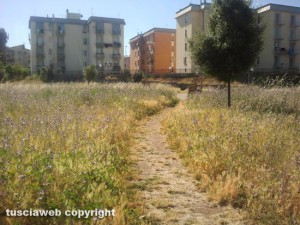 L'erba alta nel piccolo parco giochi di fronte all'Ipercoop