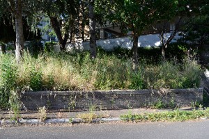 La zona abbandonata di Capranica in via Dalla Chiesa