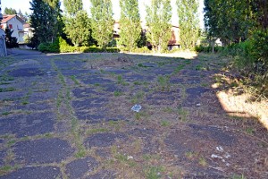 La zona abbandonata di Capranica in via Dalla Chiesa