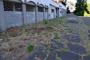 La zona abbandonata di Capranica in via Dalla Chiesa