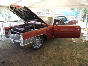 Viterbo Tuning fest 