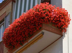 Il balcone in via Monte bianco - Foto di Giobatta Contrucci