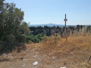 Discarica a cielo aperto a Castel d'Asso