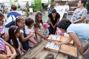 Slow food kids