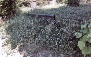I giardinetti della Quercia