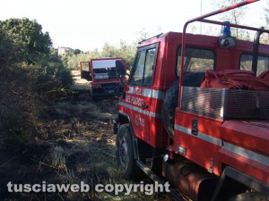 Incendio di sterpaglie - Vigili del fuoco in azione