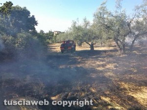 Incendio di sterpaglie - Vigili del fuoco in azione