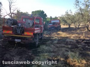 Incendio di sterpaglie - Vigili del fuoco in azione