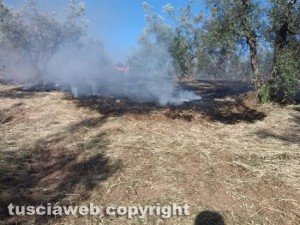 Incendio di sterpaglie  - Vigili del fuoco in azione