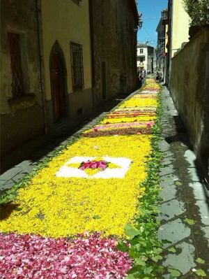 L'infiorata di Lubriano