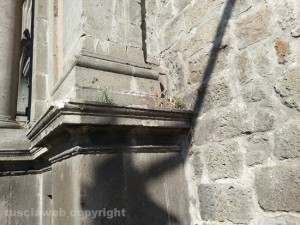 Erbacce a Porta Romana
