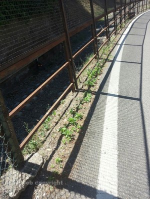 La strada che costeggia la ferrovia