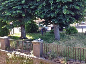 I cittadini puliscono da soli il verde a La Quercia