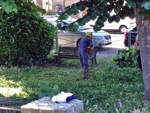 I cittadini puliscono da soli il verde a La Quercia