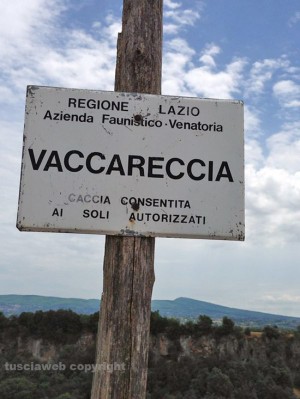 La zona in cui è nascosta la discarica