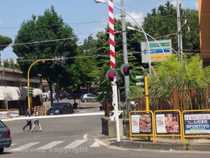 IMG_3205