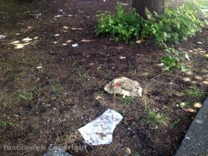 Il parco pubblico di Via Raniero Capocci