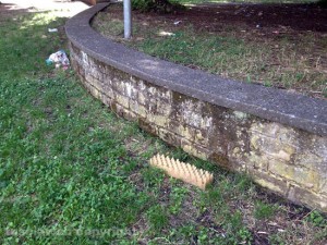Il parco pubblico di Via Raniero Capocci