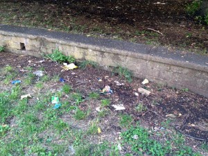 Il parco pubblico di Via Raniero Capocci