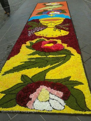 Bolsena - L'infiorata per il Corpus Domini