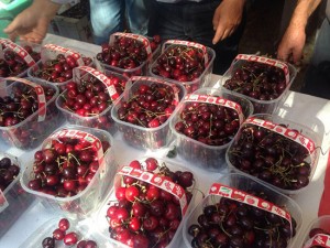 La sagra delle ciliegie a Celleno