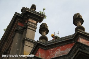Viterbo civica rimuove le piante di fico dai cornicioni della Trinità