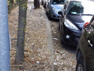 Viterbo - Le foglie in via Treviso