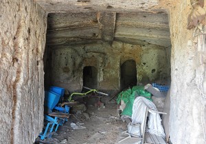 Le necropoli di Grotte di Castro nell'abbandono