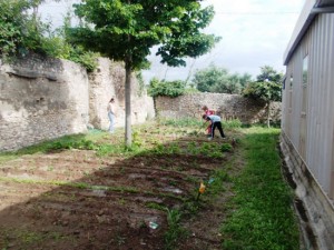 L'orto comunitario solidale