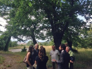 Parco di San Martino, il sopralluogo di Sabatini