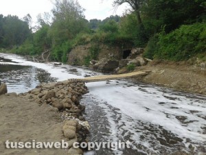 Civita Castellana - Distrutta la fauna del fiume Treja