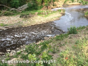 Civita Castellana - Distrutta la fauna del fiume Treia