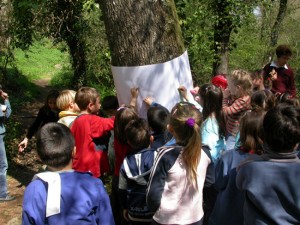 SensataMente, la natura attraverso i sensi