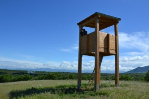 Una delle torrette di avvistamento al parco del Treja