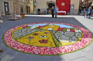 Vitorchiano - Peperino in fiore 