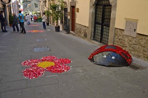 Vitorchiano - Peperino in fiore 