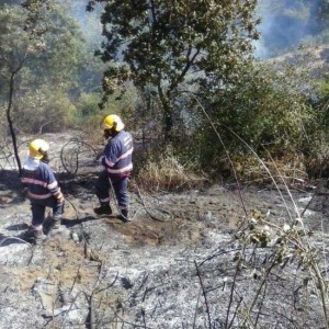 Campagna antincendio