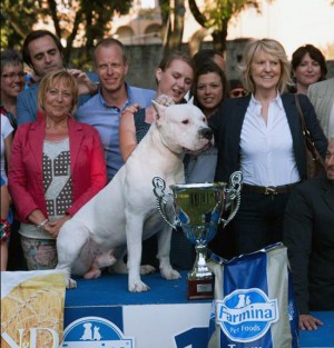 Esposizione canina, il primo classificato nel Best in show