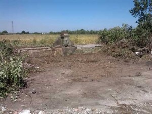 Madonna della spiga ripulita 