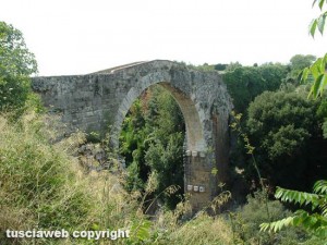 Vulci