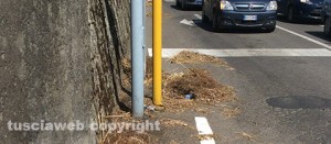 L'erba tagliata e lasciata a bordo strada
