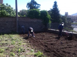 La terapia dell'orto al Sert