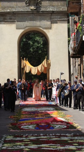 L'infiorata a Vignanello