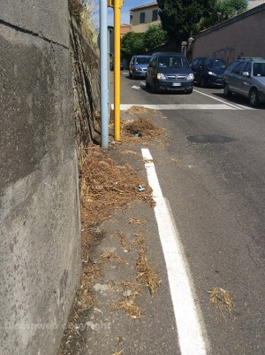 L'erba tagliata e lasciata a bordo strada